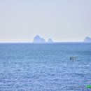 하우스누리 이미지