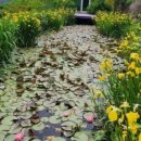 남해-208 이미지