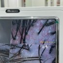 당동미용실 꽃봄살롱에서 두피스파(저두바) 내돈내산 시술 후기