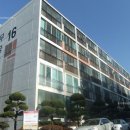 사파동310 이미지