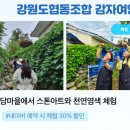설렘양양사회적협동조합 이미지