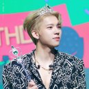 호텔나무 이미지