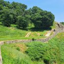 수원-1872 이미지