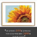 모카카 네이버블로그