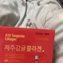 피쉬콜라겐 복용 후기! 코타이인터내셔널 제주감귤콜라겐
