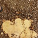 은평-003 이미지