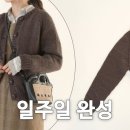 로그라운드