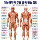 한국스포츠인재재활교육원 | [한인재 RTS 레벨1 수강후기] 재활트레이닝 운동처방사, 김재관선생님 주말반 강추추추