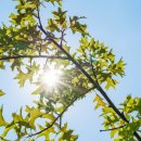 성재영이즈피부과의원 이미지