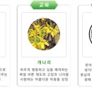 북수초등학교 이미지