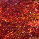 가을풍경의 이모저모~ 이미지