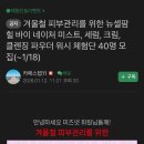 뉴셀팜