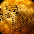 신평1동-12 이미지