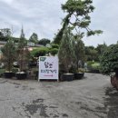 들풀담소보리밥정식 이미지