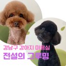 전설의 그루밍 이미지