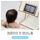 28개월 아기 콩콩이의 첫 미디어 영상노출 노부영 프리스타터 사이트워드 온라인 영어유치원