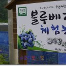 이상문농장 이미지