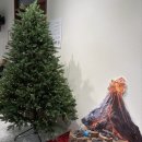 동편어린이집 | 고마워 토토 30개월 분리수업 후기