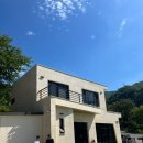 연출의 자유인 이미지