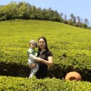 엄마와아들 이미지