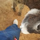 호택농장 이미지