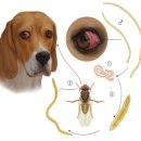 허브약국 이미지