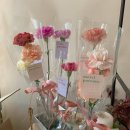 바우정원 이미지