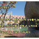 차원에듀