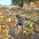 통영루지 | 통영 루지 여행 숙소, 바다뷰 펜션 후기