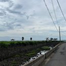 하귀바글바글가든 이미지