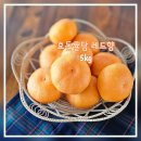 귤담 - 서귀포시 중산간동로 7726 | 귤담