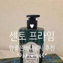 프라임워시 | 센토 프라임 약산성바디워시, 화이트 머스크 향좋은바디워시추천 제품으로 정착 솔직 후기