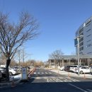 중원-68 | 성남 가볼만한 곳 성남 모란시장 5일장 후기 성남데이트 모란시장 5일장 맛집 추천 모란시장 5일장 날짜...