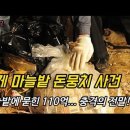 [사건사고] 김제 마늘밭 돈뭉치 사건 이미지