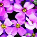 관광통역안내사_국사 이미지