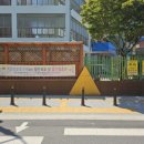 횡단보도옐로카펫 이미지