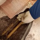 도배전문센타 이미지