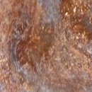 충남상회 이미지