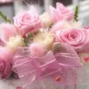 댕겨오겠습니다 이미지