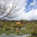 의지의꽃길기념비 | (둘레길 사진 후기 - 40) 오사카, 교토, 나라에 가다