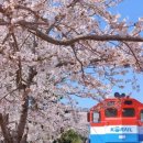 레서트 - 마포구 독막로6길 9 | 레서트
