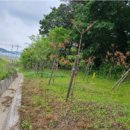 광산구-121 이미지