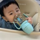 아기보리차보관 릴리팟 아기보리차 유리물병 솔직후기