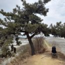 초지역 1번출구 앞 이미지