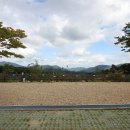 한티별빛아래관광농원야영장 이미지