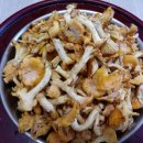 이덕주농장 이미지