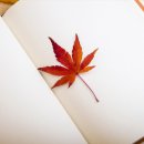 마음담은박스 이미지