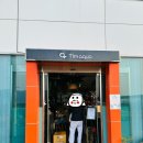 창원 동읍 팀아쿠아창원점 카페 _ 내돈내산 수족관 물 멍하기 좋은 곳
