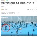 수영장 7세 머리 처넣은 男, 결국 잡혔다…기막힌 이유 이미지