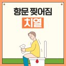 바로본항외과의원 이미지